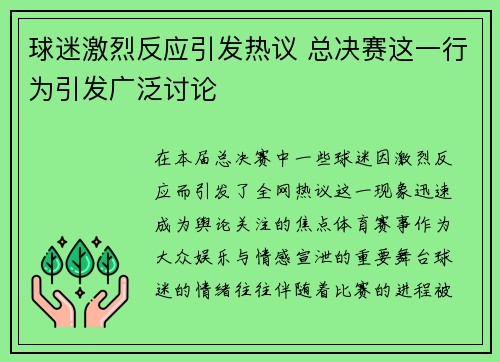 球迷激烈反应引发热议 总决赛这一行为引发广泛讨论
